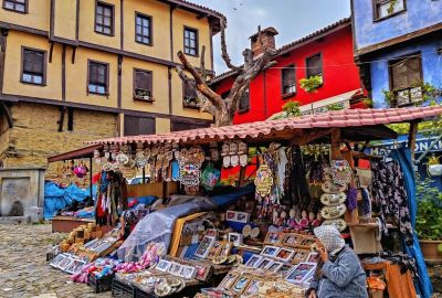 YEŞİL BURSA TRİLYE GÖLYAZI TURU