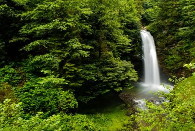 Söke Çıkışlı Karadeniz Yayla Rüzgarı & Batum Turu