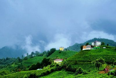 Aydın Çıkışlı Batum Konaklamalı Karadeniz Yaylaları Turu
