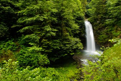 Denizli Çıkışlı Karadeniz Yayla Rüzgarı & Batum Turu