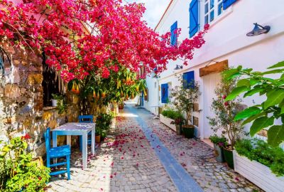 SIĞACIK ÇEŞME ALAÇATI TURU