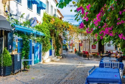 SIĞACIK ÇEŞME ALAÇATI TURU